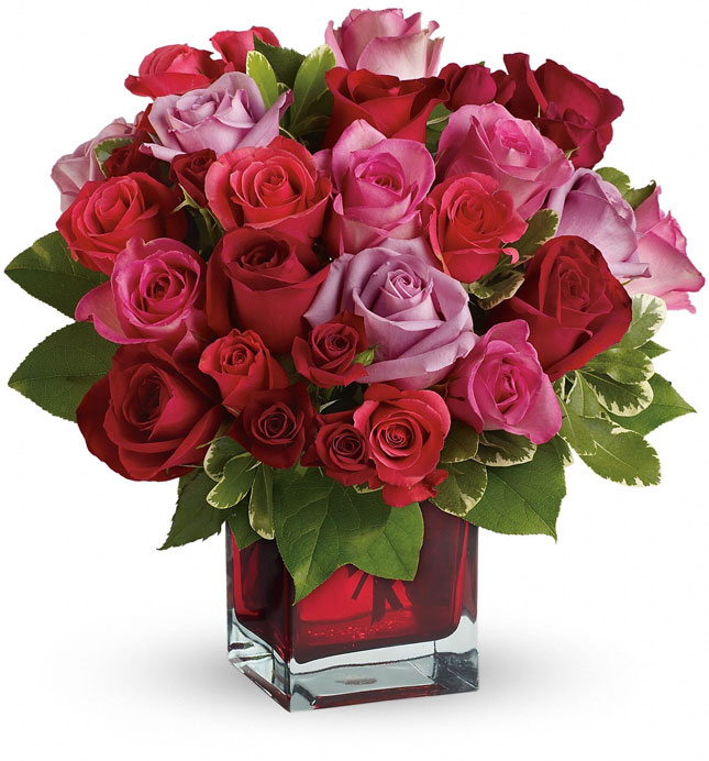 Hoa tặng sinh nhật đẹp, ý nghĩa cho ngày đặc biệt của bạn! Hoa tặng sinh nhật đẹp, ý nghĩa cho ngày đặc biệt của bạn!