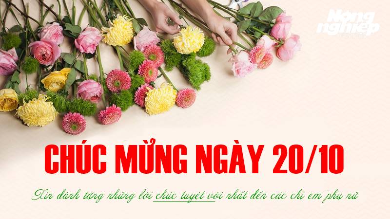 Quà 20/10 cho vợ bầu: Ý tưởng độc đáo và ý nghĩa nhất!