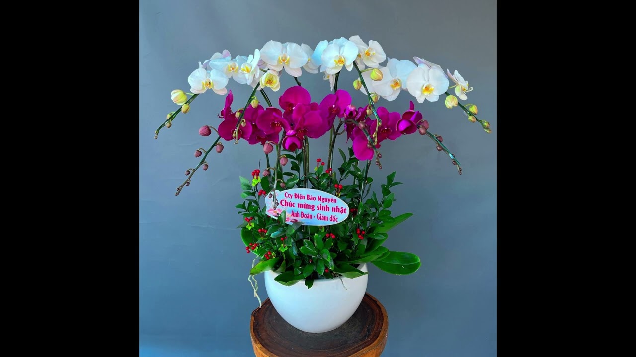 tang qua khai truong