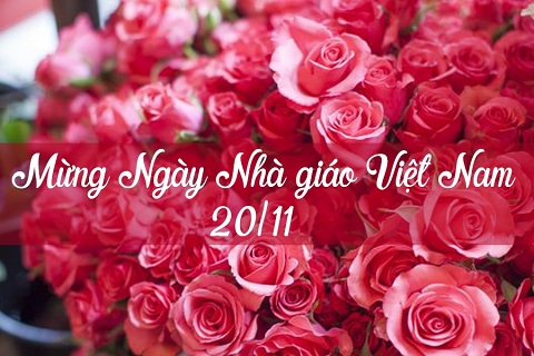 Quà tặng 20/11 ý nghĩa cho thầy cô đầy tâm huyết và sáng tạo Quà tặng 20/11 ý nghĩa cho thầy cô đầy tâm huyết và sáng tạo
