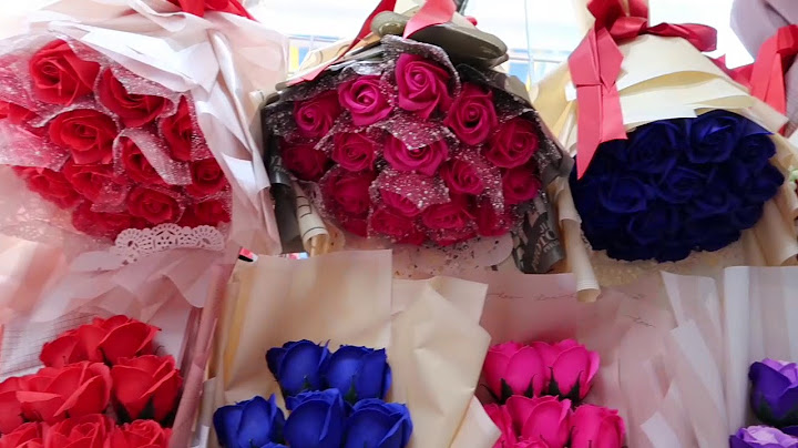 Quà tặng thầy giáo 20/11: Ý tưởng độc đáo và ý nghĩa nhất